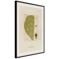 Plakat - Przekrój liścia