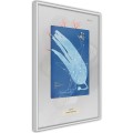 Plakat - Cyjanotyp algi