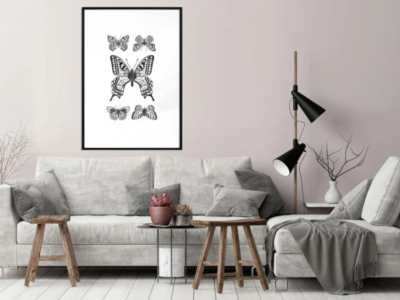 Plakat - Kolekcja motyli IV