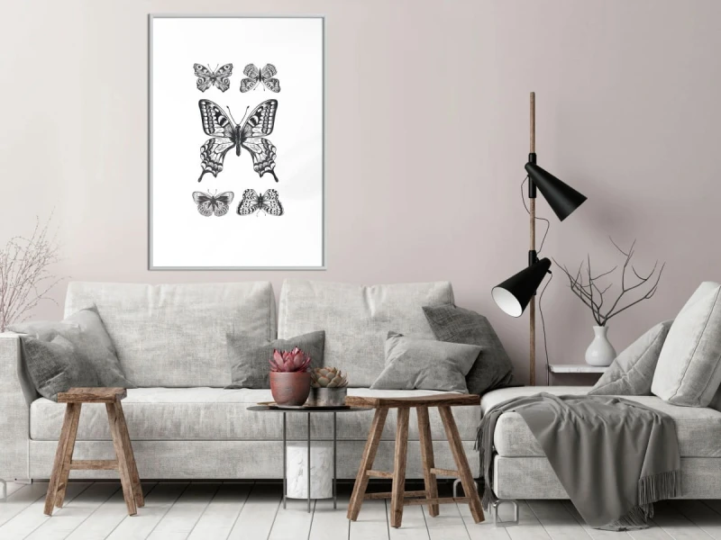 Plakat - Kolekcja motyli IV