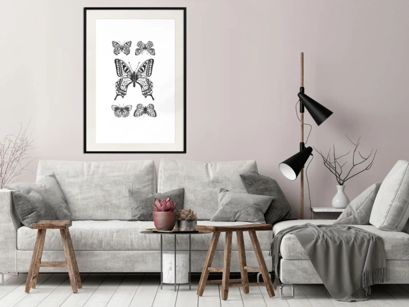 Plakat - Kolekcja motyli IV