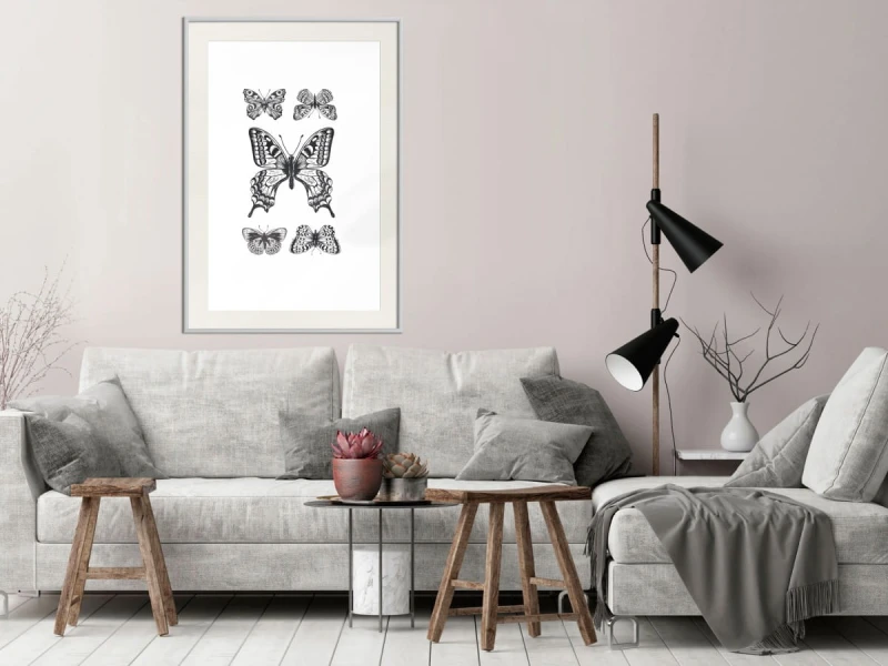 Plakat - Kolekcja motyli IV