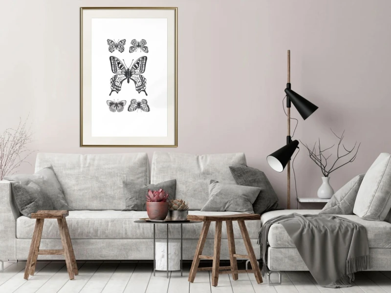 Plakat - Kolekcja motyli IV