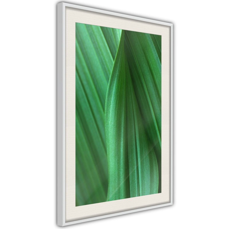 Plakat - Struktura liścia