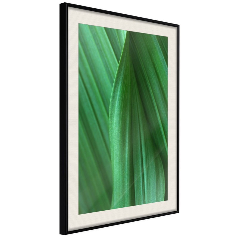 Plakat - Struktura liścia