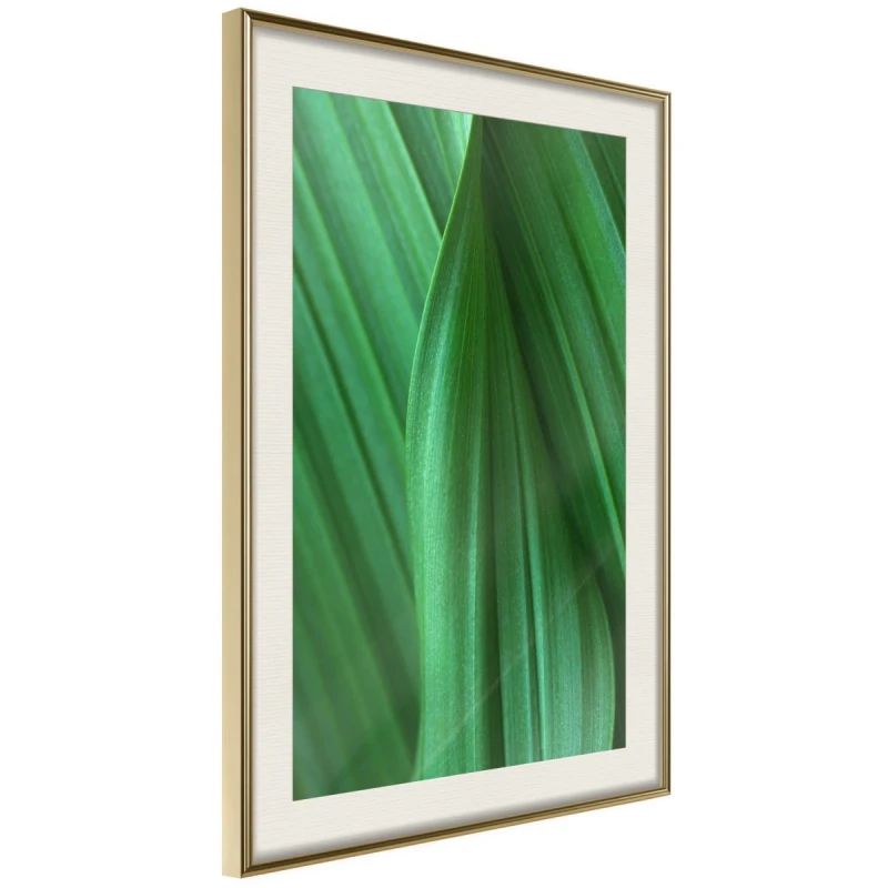 Plakat - Struktura liścia