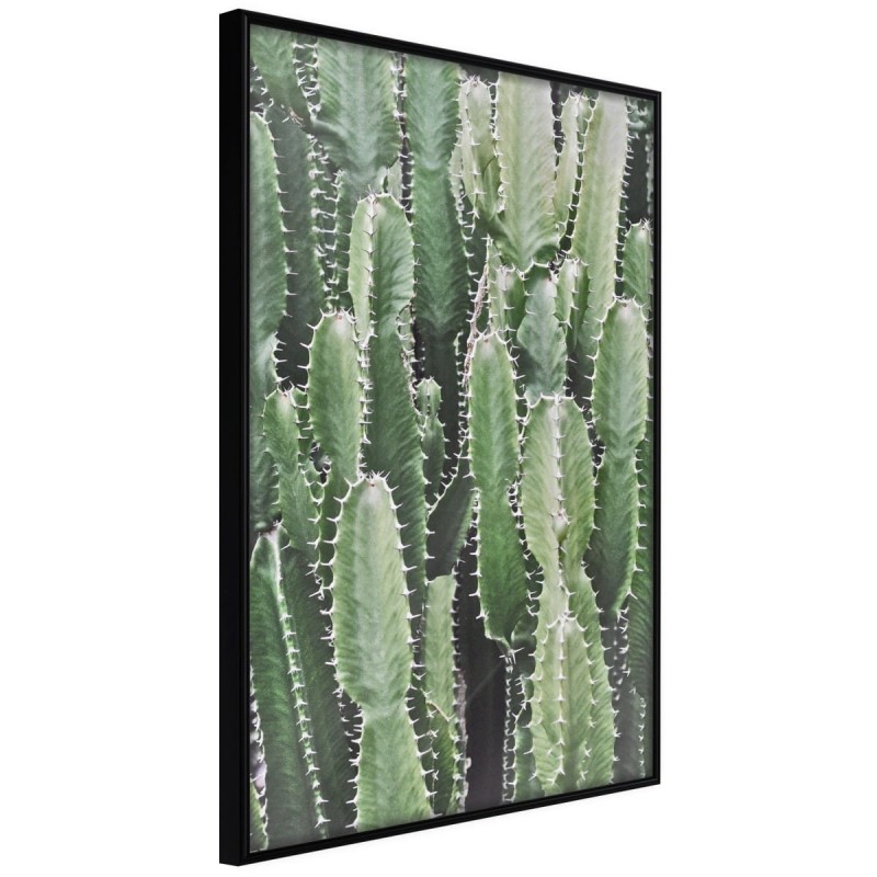 Plakat - Plantacja kaktusów