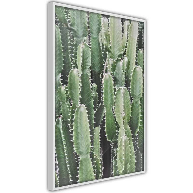 Plakat - Plantacja kaktusów