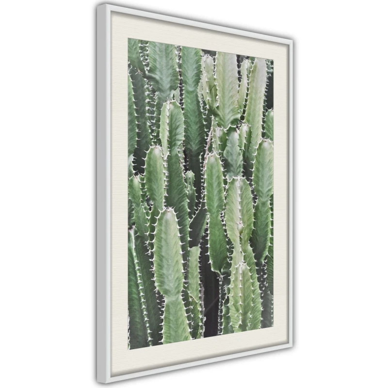 Plakat - Plantacja kaktusów