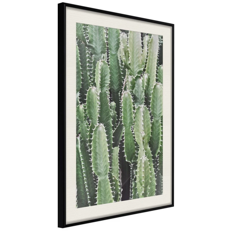 Plakat - Plantacja kaktusów