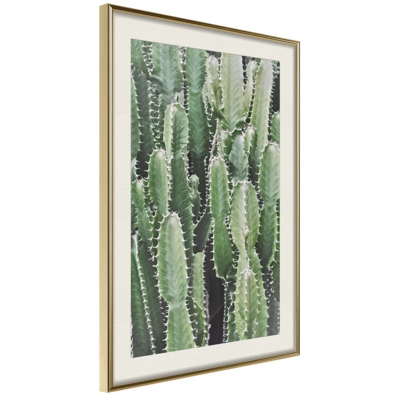 Plakat - Plantacja kaktusów
