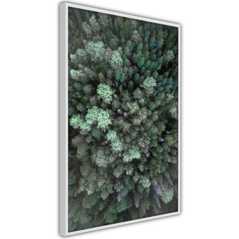 Plakat - Świat z wysoka