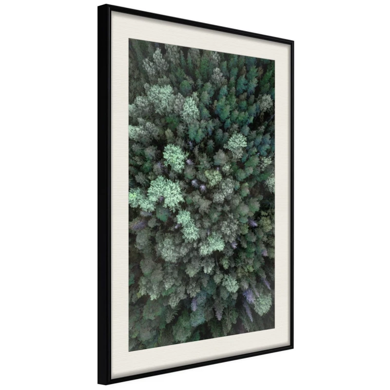 Plakat - Świat z wysoka
