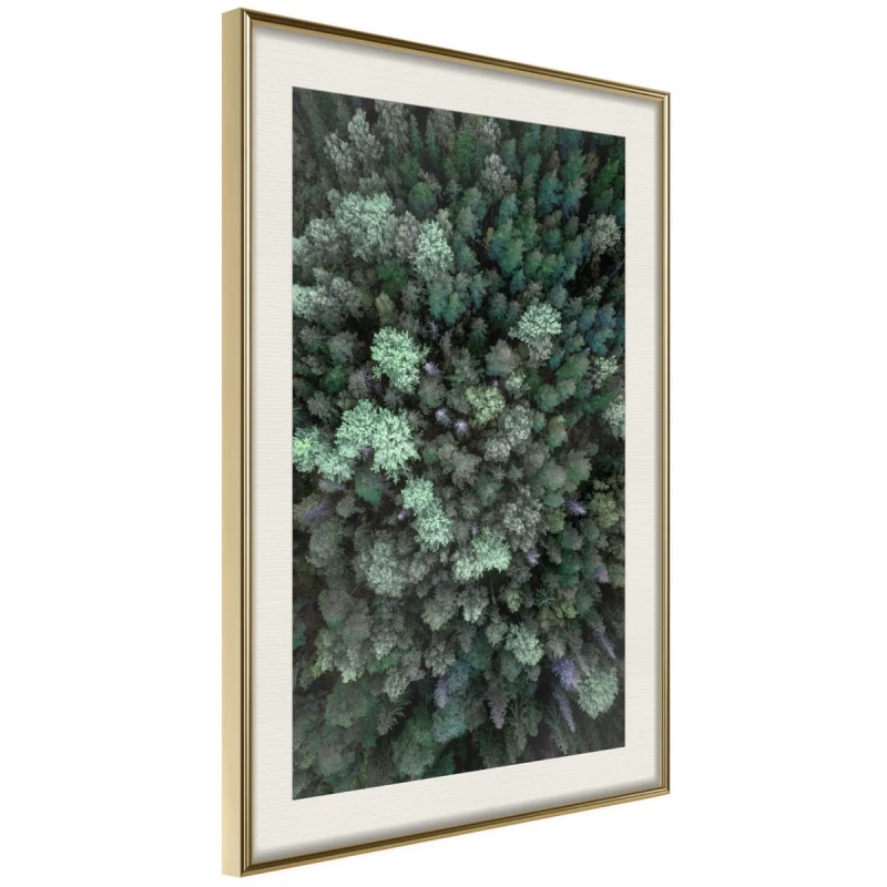 Plakat - Świat z wysoka