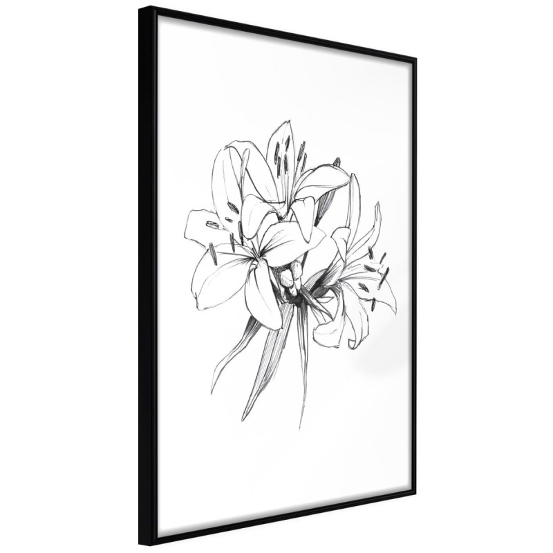 Plakat - Szkic lilii
