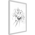 Plakat - Szkic lilii