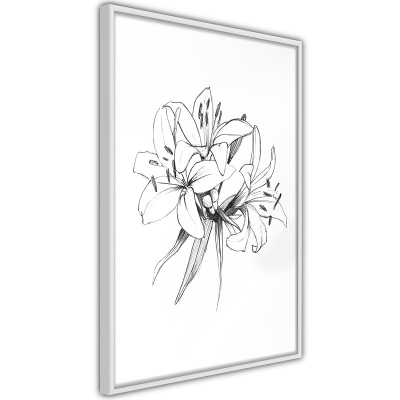 Plakat - Szkic lilii