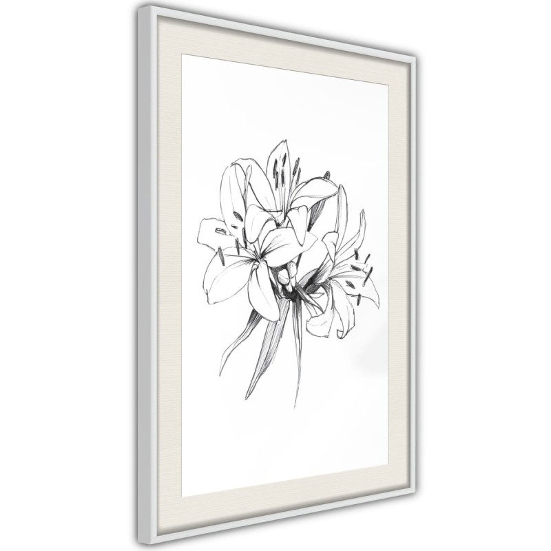 Plakat - Szkic lilii