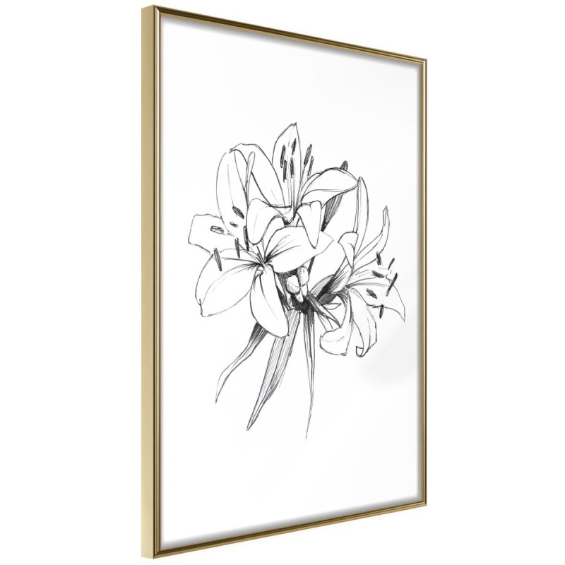 Plakat - Szkic lilii