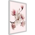 Plakat - Kwitnące magnolie I