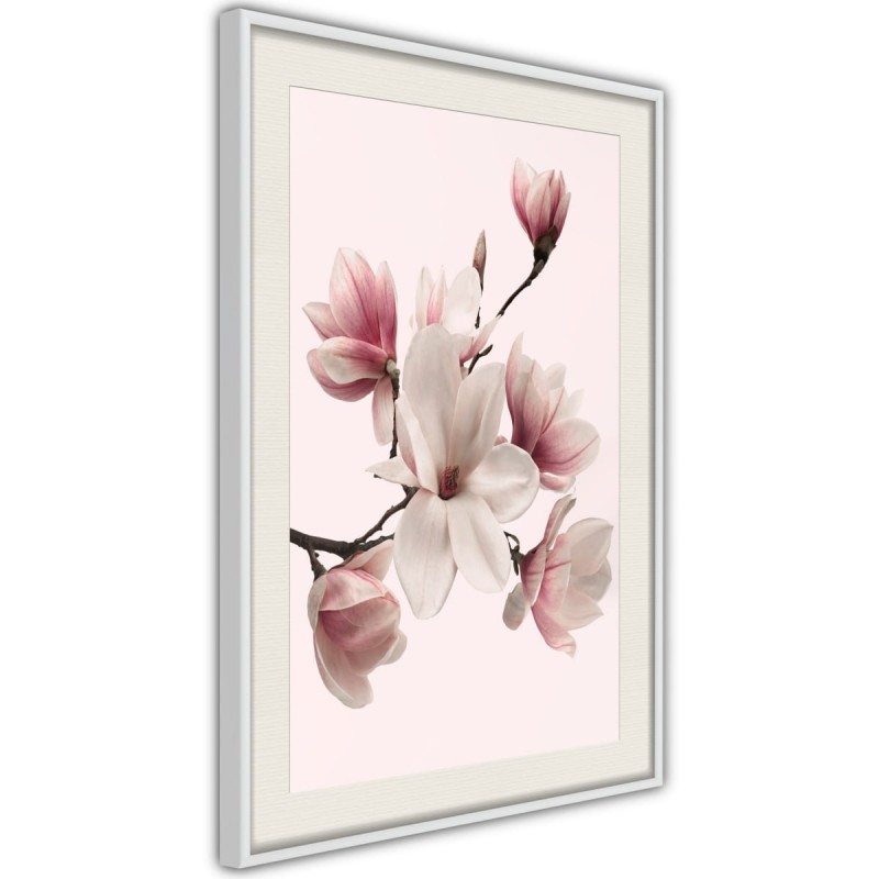 Plakat - Kwitnące magnolie I