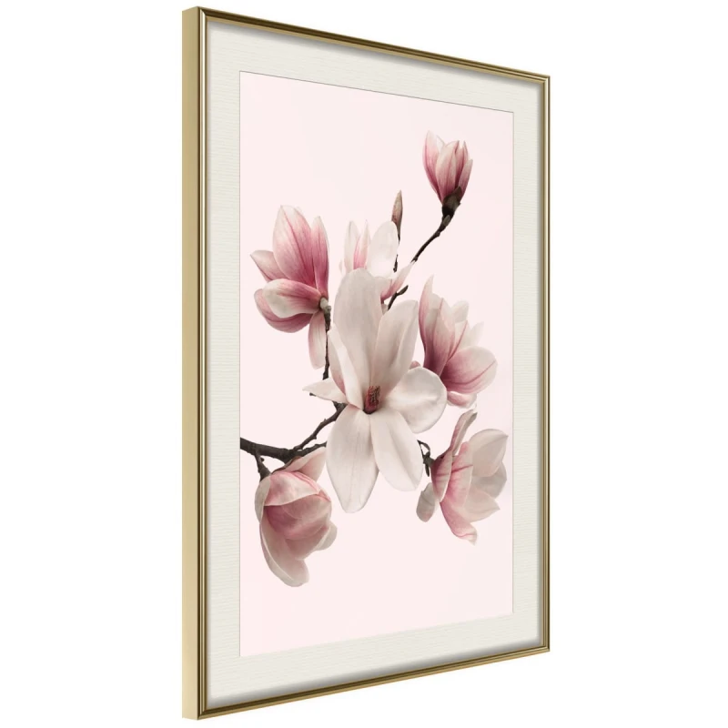 Plakat - Kwitnące magnolie I