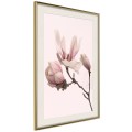 Plakat - Kwitnące magnolie II