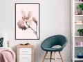 Plakat - Kwitnące magnolie II