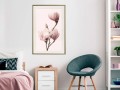 Plakat - Kwitnące magnolie III