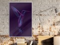 Plakat - Fluorescencyjny koliber