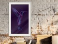 Plakat - Fluorescencyjny koliber