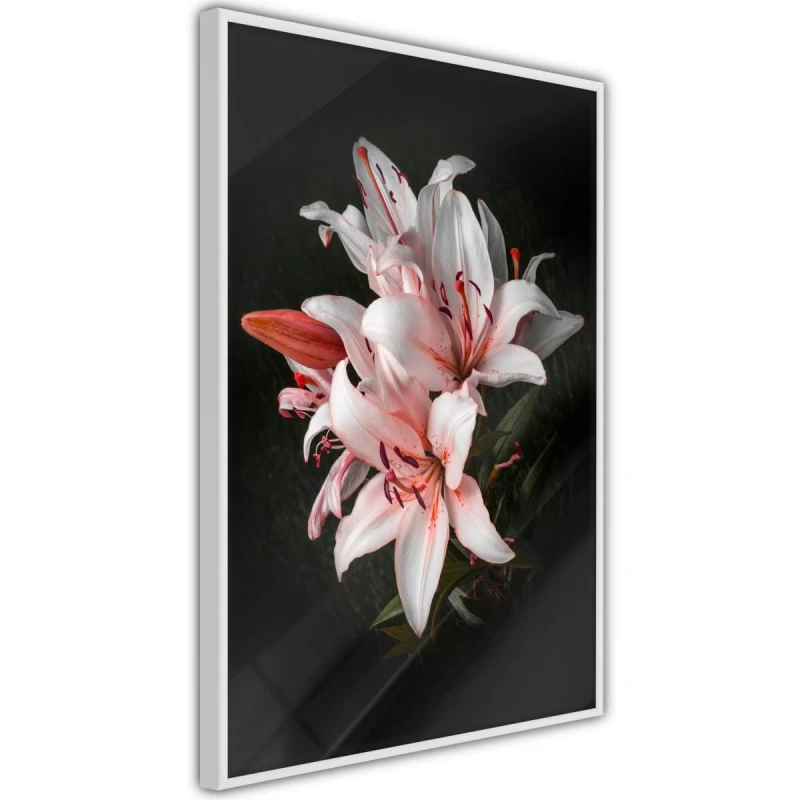 Plakat - Bladoróżowe lilie