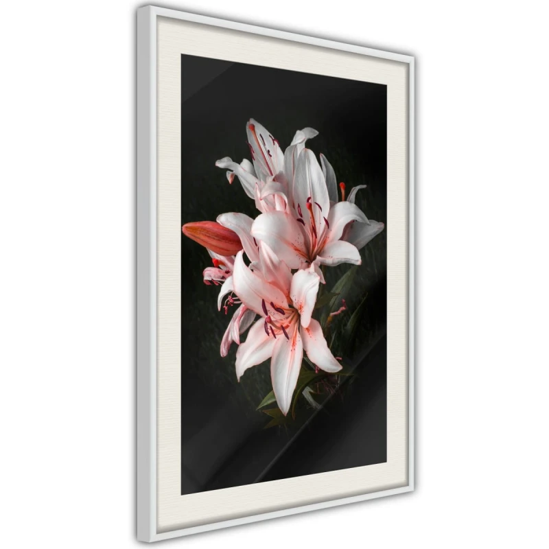 Plakat - Bladoróżowe lilie