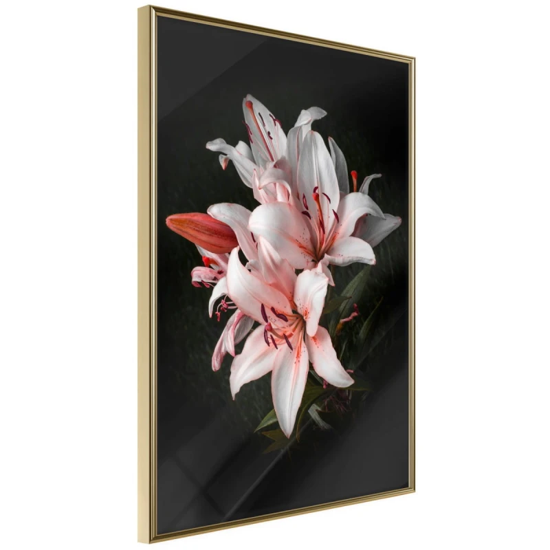 Plakat - Bladoróżowe lilie