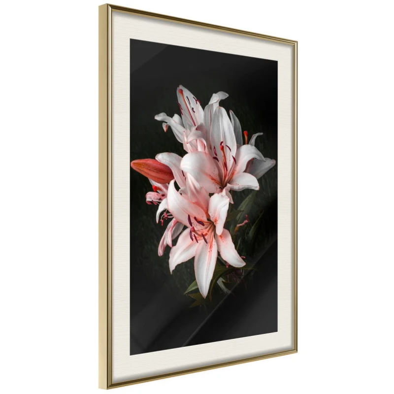 Plakat - Bladoróżowe lilie