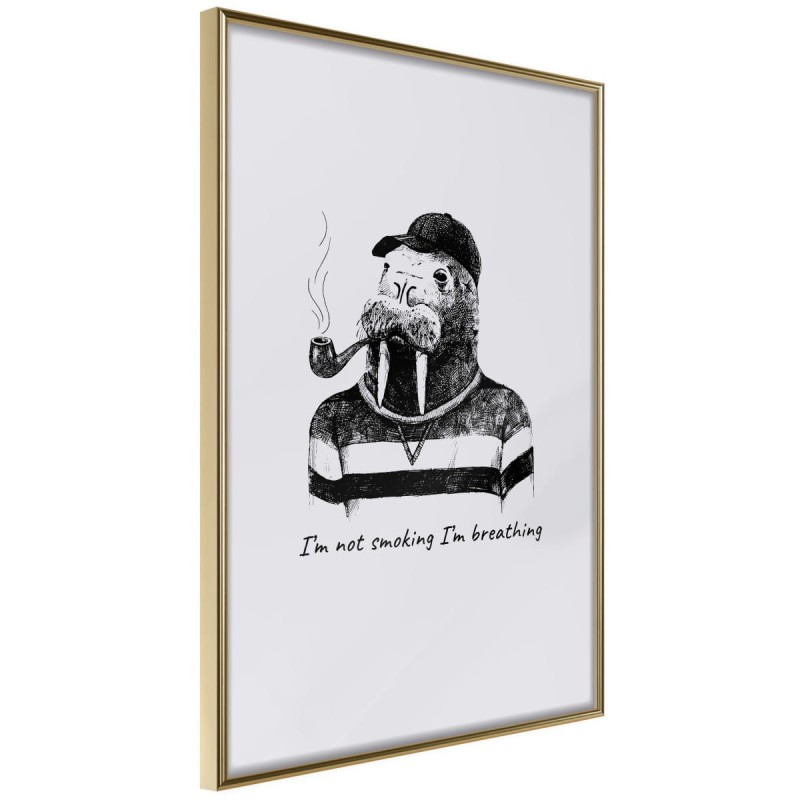 Plakat - Kapitan Mors