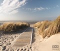 Fototapeta PLAŻA 1020