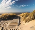 Fototapeta PLAŻA W SŁONECZNY DZIEŃ  1021