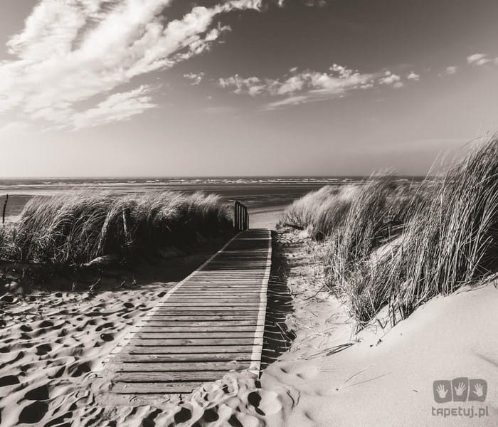 Fototapeta BIAŁO-CZARNA PLAŻA 1022