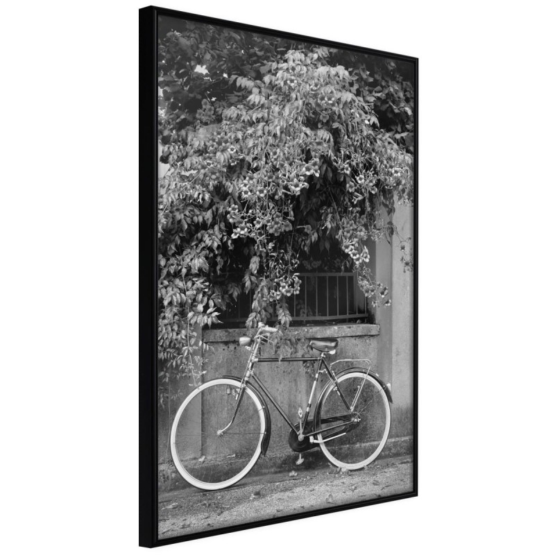 Plakat - Rower z białymi oponami