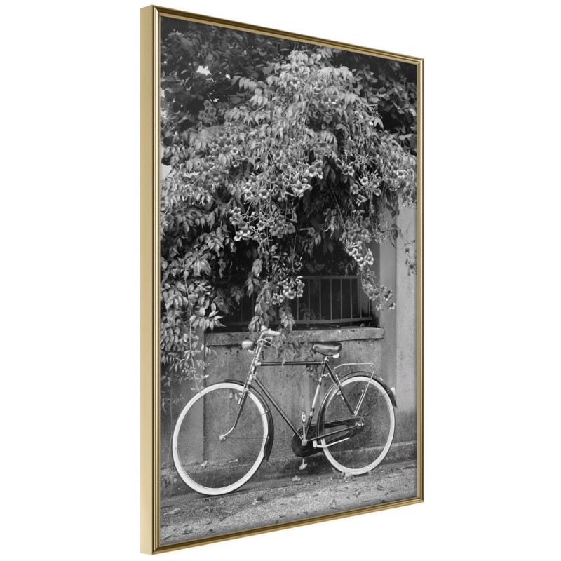 Plakat - Rower z białymi oponami