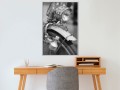 Plakat - Lampa i dynamo