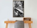Plakat - Lampa i dynamo