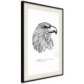 Plakat - Symbol wolności