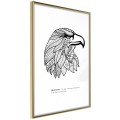 Plakat - Symbol wolności