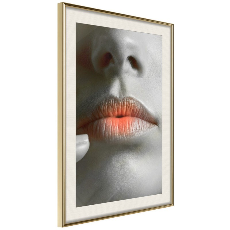 Plakat - Usta ombre