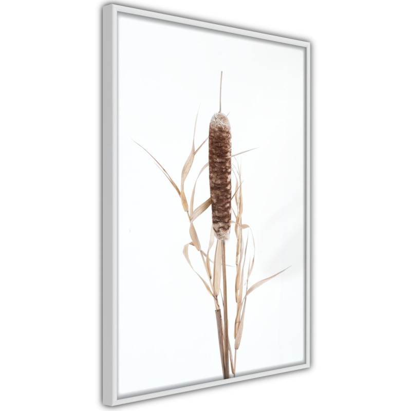 Plakat - Pałka wodna