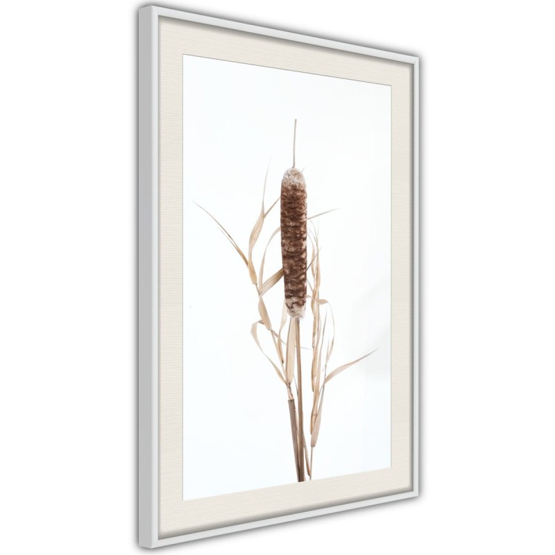 Plakat - Pałka wodna