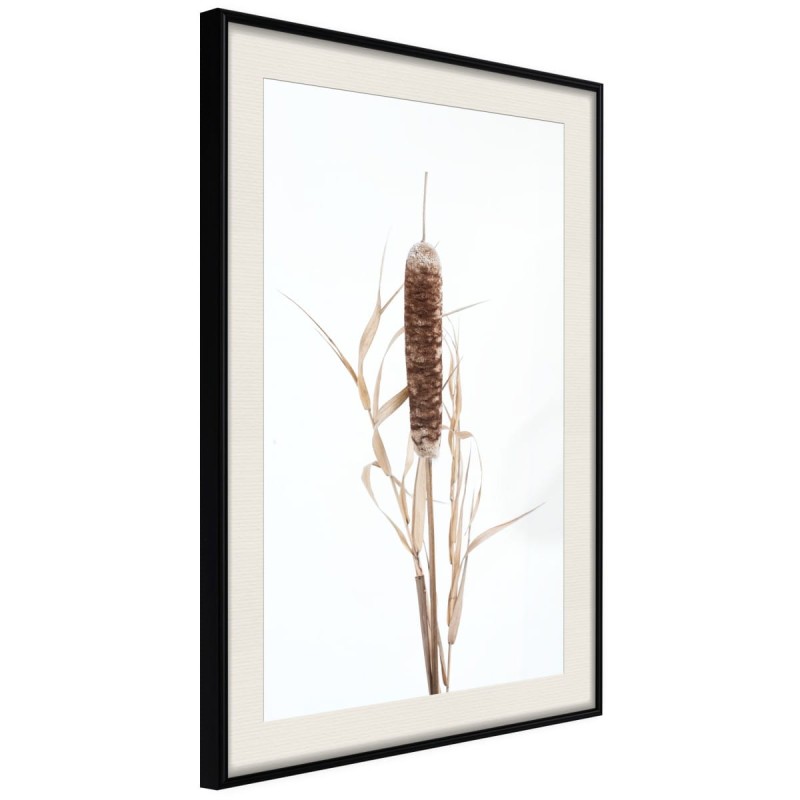 Plakat - Pałka wodna