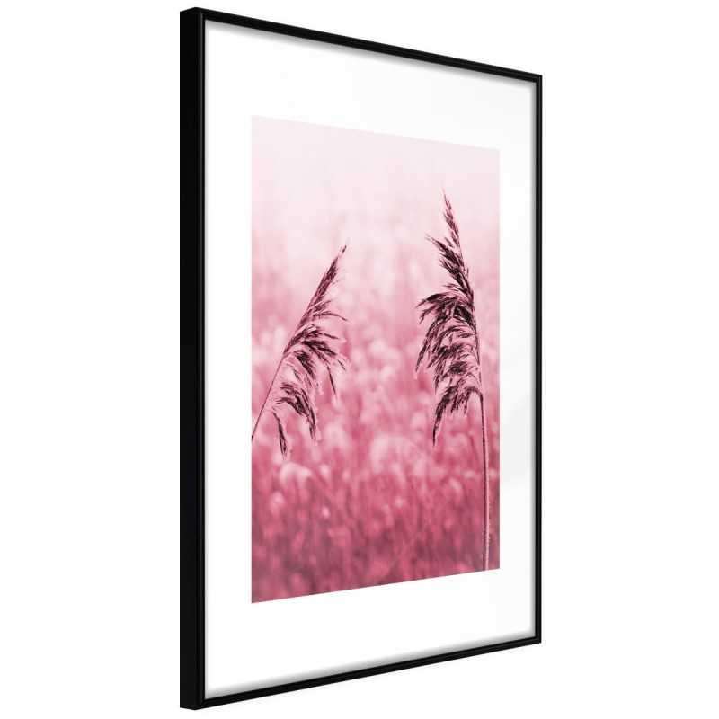 Plakat - Amarantowa łąka